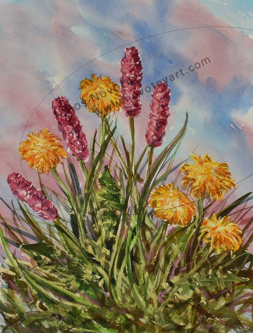   Kliknut� - zav��t  