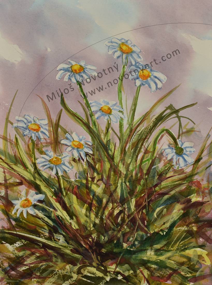   Kliknut� - zav��t  