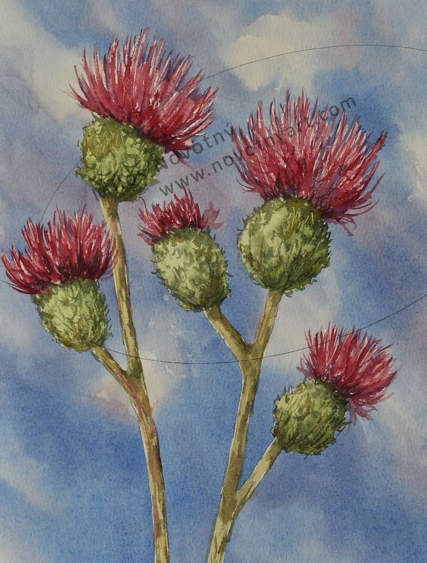   Kliknut� - zav��t  