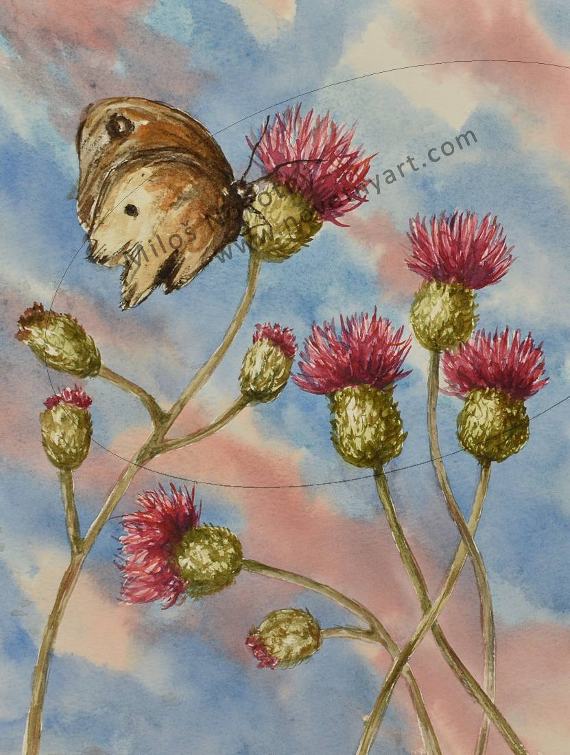   Kliknut� - zav��t  