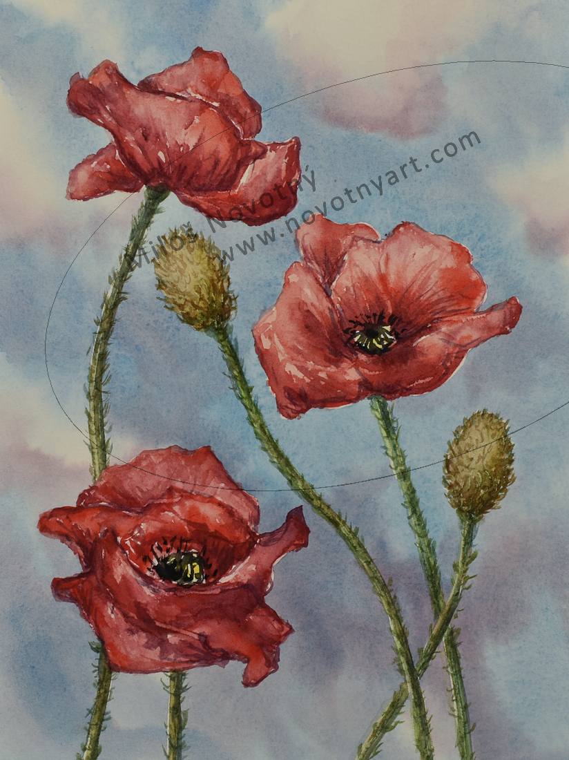   Kliknut� - zav��t  