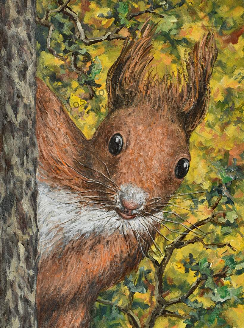   Kliknut� - zav��t  